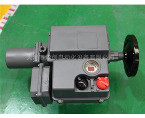 引進型電動執行器（qì）